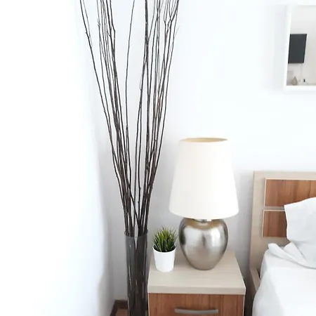 Old Center Apartment *