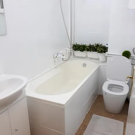 Old Center Apartman Bukarest