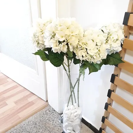 Old Center בוקרשט